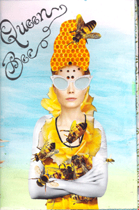 Queen Bee by Dianne Forrest Trautmann from VG7